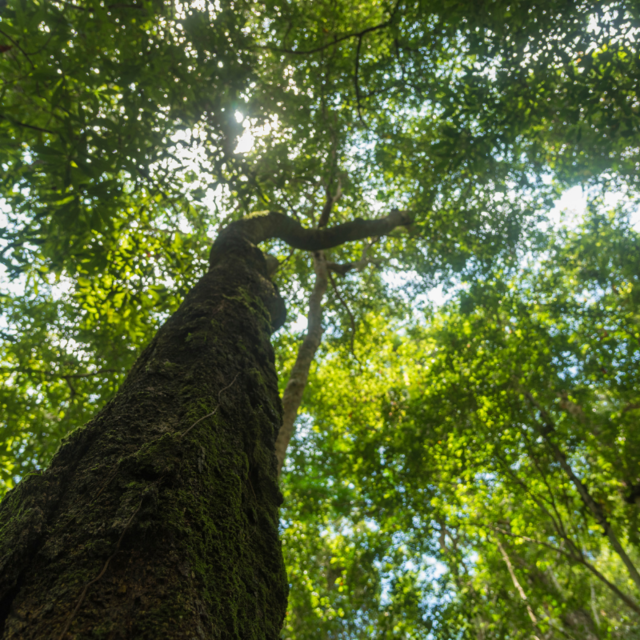 Ressources naturelles